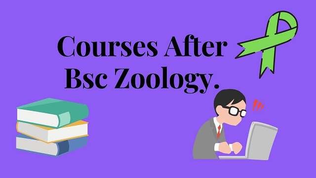 Courses After BSc Zoology-MSc Courses & Medical Career. | Jobopening